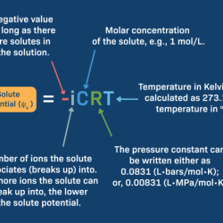 Ap biology water potential worksheet