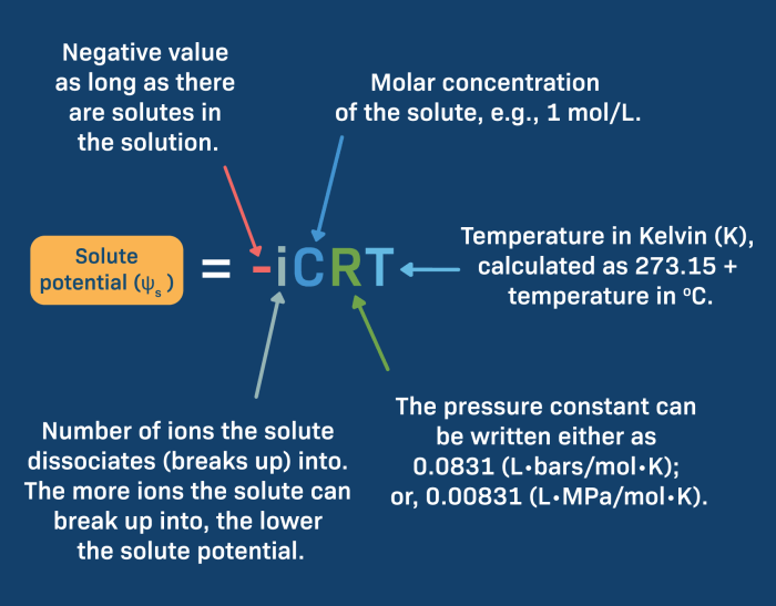 Ap biology water potential worksheet