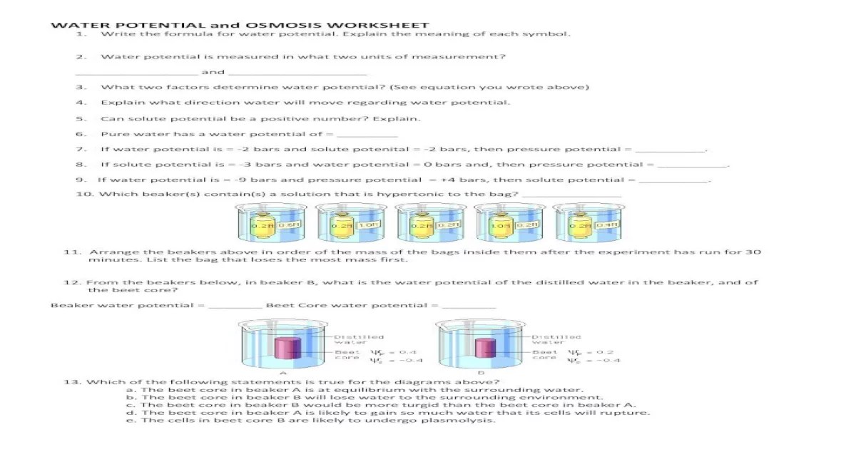 Ap biology water potential worksheet