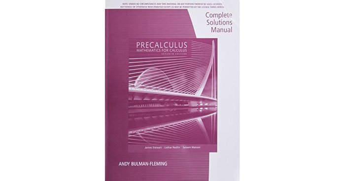 Precalculus mathematics for calculus 6th edition answers