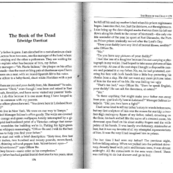 The book of the dead short story by edwidge danticat